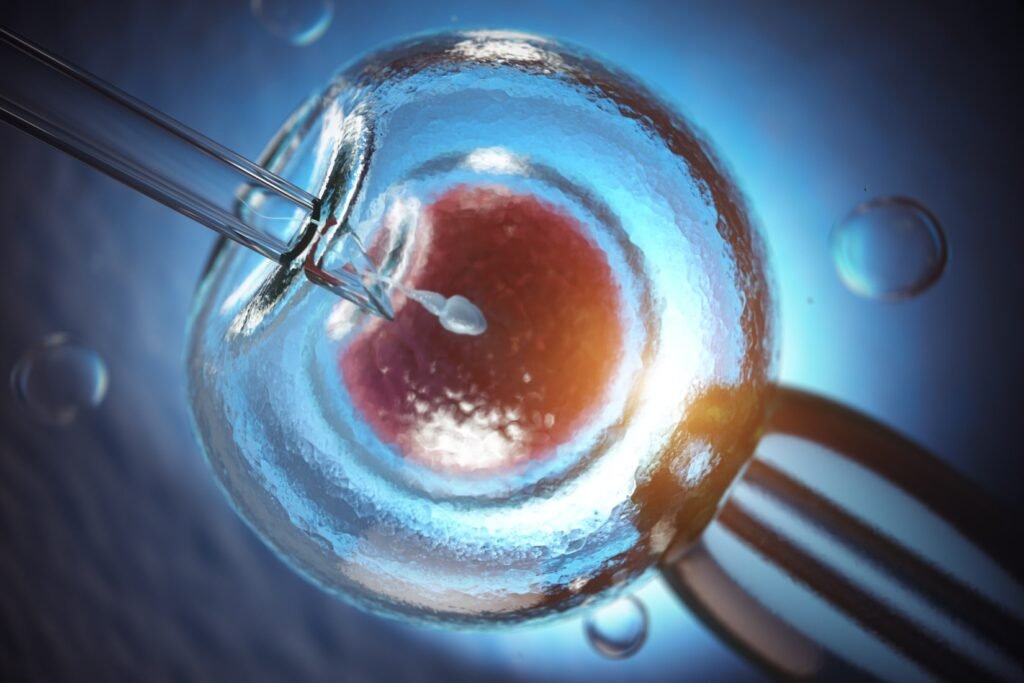 Fecundación in vitro vista al microscopio